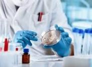 Abscess culture test